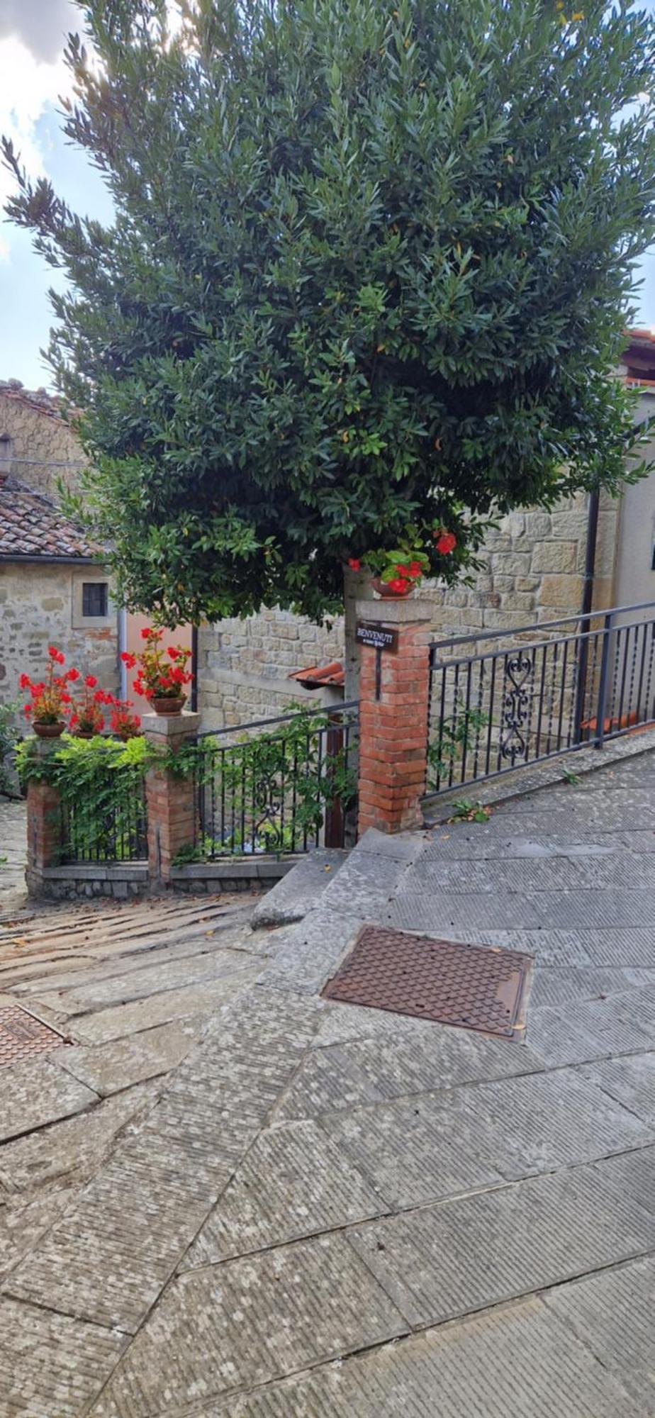 Casa Lichio * Stia